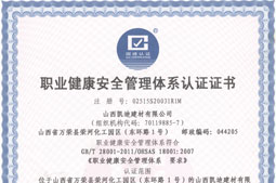職業(yè)健康安全管理體系認